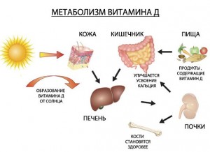 витамин-D 6